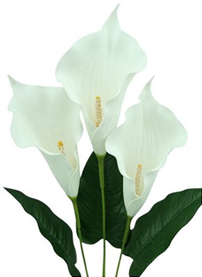 COPO DE LEITE HASTE C/3 GALHOS 94CM 129320