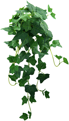 PLANTA ARTIFICIAL PENDENTE FOLHAGEM HERA INGLESA 64CM 13867
