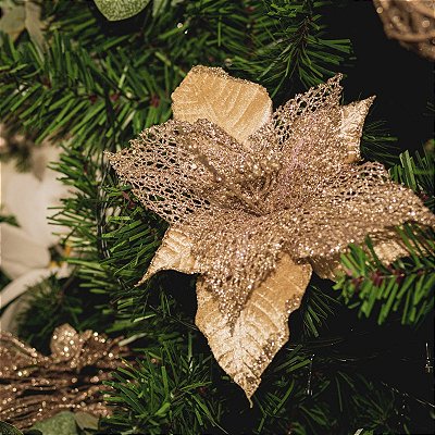 FLOR DE NATAL POINSETIA CHAMPANHE NUDE AVELUDADA RENDA 25CM 9976C
