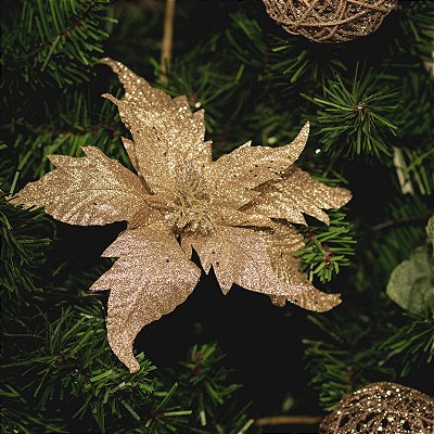 FLOR DE NATAL POINSETIA CHAMPANHE 30CM 9977C
