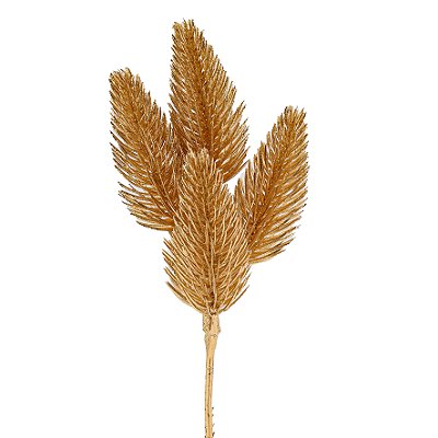 GALHO FOSCO PINHEIRO 5G 25CM DOUR