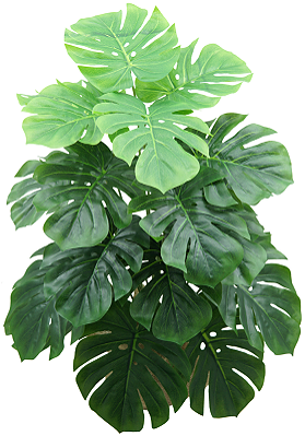 COSTELA DE ADÃO PLANTA ARTIFICIAL 80CM 128919