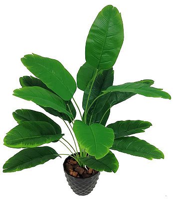 PLANTA HELICÔNIA VERDE X18 81CM S/ VASO 129486