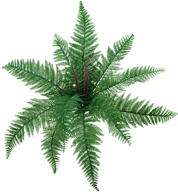 BUQUE SAMAMBAIA RENDA PORTUGUESA X11 55CM 129919