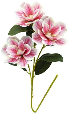 HASTE MAGNOLIA X3  80CM 130012