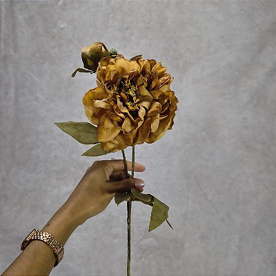 GALHO PEONIA OUTONADA TERRA COTA 70CM