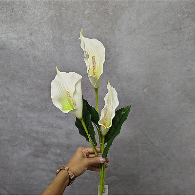 GALHO COPO DE LEITE X3 88CM