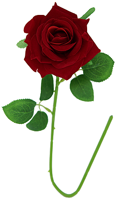 HASTE DE ROSA VERMELHA VELUDO 48CM UNITÁRIA 131408