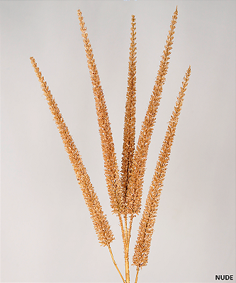 HASTE CAPIM ESPIGADO DESIDRATADO 91CM 131405 Bege