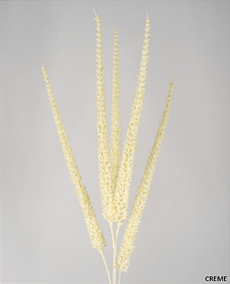 HASTE CAPIM ESPIGADO DESIDRATADO 91CM  131403 CREME