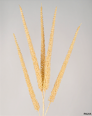 HASTE CAPIM ESPIGADO DESIDRATADO 91CM 131404 CHAMPANHE