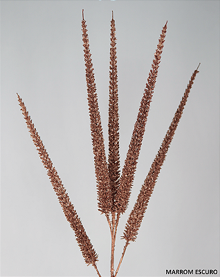 HASTE CAPIM ESPIGADO DESIDRATADO 91CM 131402 MARROM