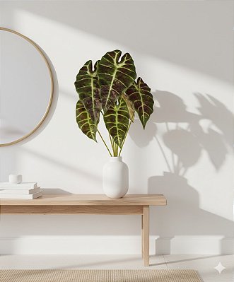 PLANTA ALOCASIA AMAZONICA 60CM VERDE ENVELHECIDO 131373