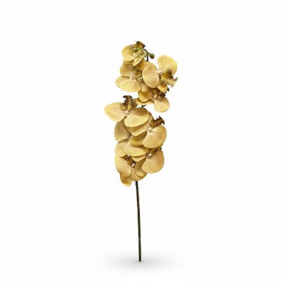 HASTE ORQUIDEA 3D GRANDE X9- CHAMPANHE 105 CM 131426
