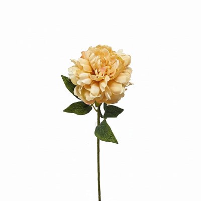 HASTE PEONIA CREME 67CM 131251