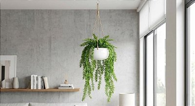 PENDENTE HUPERZIA ARTIFICIAL LUXO VERDE EM SILICONE 100CM 131429