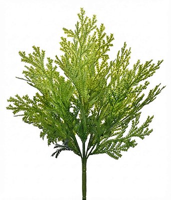 BUQUE GRAMA CIPRESTE X7 40CM VERDE 131432