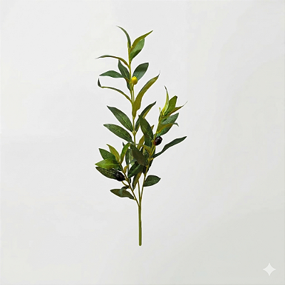 HASTE DE OLIVEIRA X3 53CM -VERDE 131479