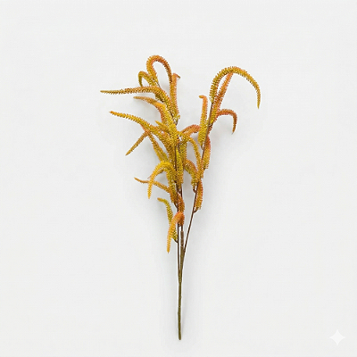 HASTE CATTAIL X3 65 CM -OUTONADO 131464