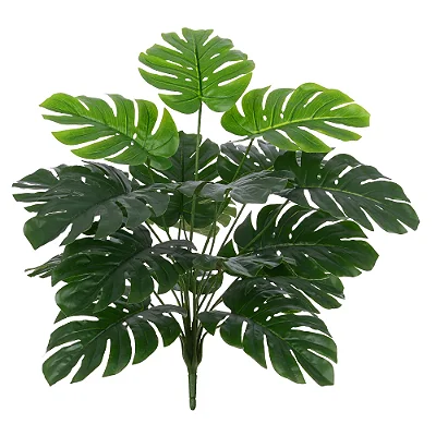COSTELA DE ADAO REAL TOQUE X18 VERDE 60CM-131799