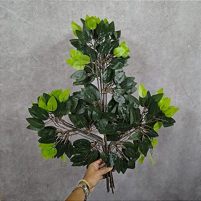 GALHO DE FICUS 60CM VERDE C/12