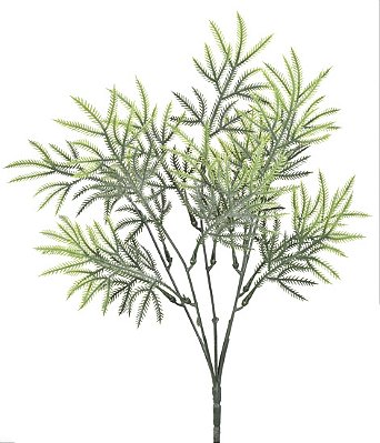 KIT C10 BUQUES DE CAPIM SILVESTRE X5 38CM VERDE