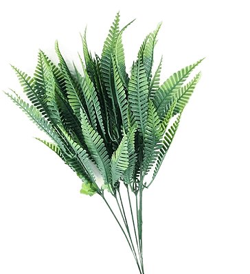 KIT C6 PICKS DE SAMAMBAIA X6 35CM