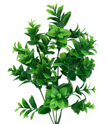 KIT C6 BUQUES PLANTA ARTIFICIAL FOLHAGEM VERDE CLARO  35CM