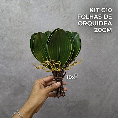 KIT C10 FOLHAS DE ORQUIDEA 20CM
