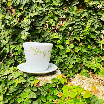 Vaso com pires - Rosa - Júlia