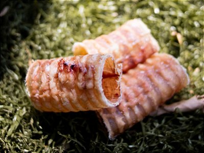 Mastigável Mini Traquéia Bovina 200g - Luv