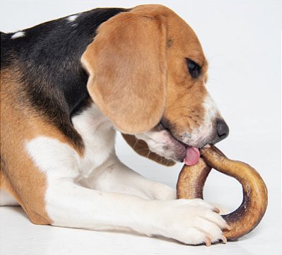 Mastigável Vergalho Bovino Argola - 1 un - Budopet