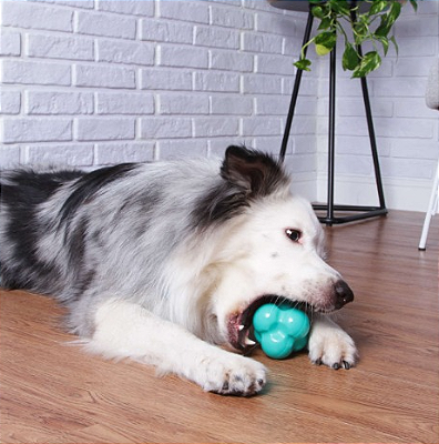 Bola Maciça Átomo 6 em 1 Verde Água para Cães G - Pet Games