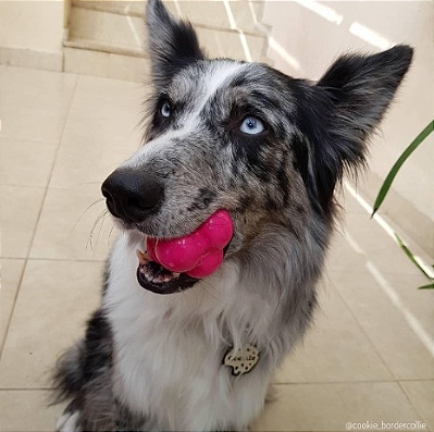 Bola Maciça Átomo 6 em 1 Pink para Cães G - Pet Games