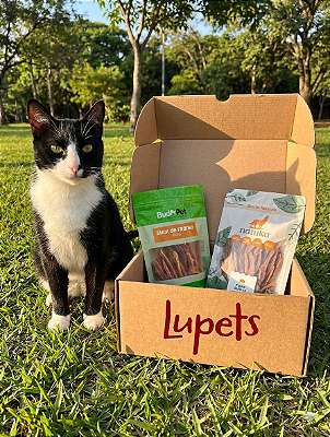 Box Gatinho Econômico! 2 Itens