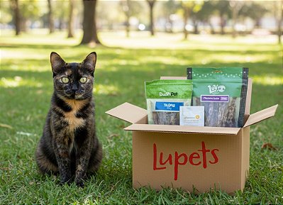 Box Gatinho Gourmet! 3 Itens