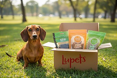 Box para os Pequenos! Porte pequeno e Filhote - 4 itens