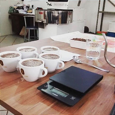 Mini Banner Torrefação Cupping na Xícara