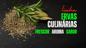 Ervas Culinárias