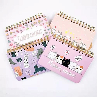 Kit Planner Não Datado Papelaria Fofa