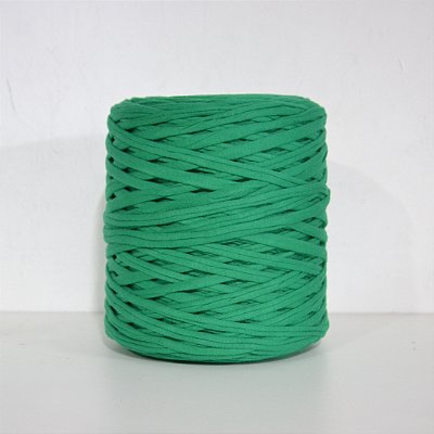 Fio de Malha Verde Bandeira 1KG