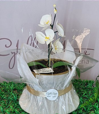 Bolo Vaso com orquídeas 15cm - 2kg