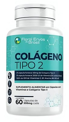 Colágeno Tipo 2 + Vitaminas e Niacina 500mg Floral Ervas 60 Cápsulas