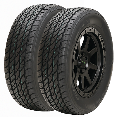 Kit 2 Pneus Aro 15 205/70R15 PRINX HA1 96T