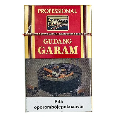 GUDANG GARAM PROFESSIONAL