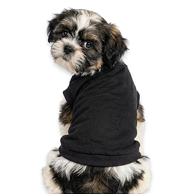 Roupa Pet Camiseta Cachorro PP ao EXG - Pretinha Básica