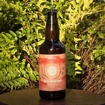 Cerveja Pinhãolense Pale Ale Araukarien 500ml