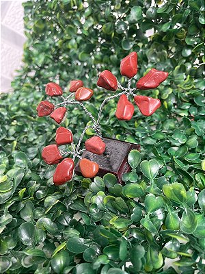 Árvore de Jaspe Vermelha