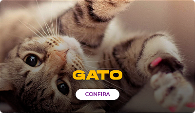 mini gato