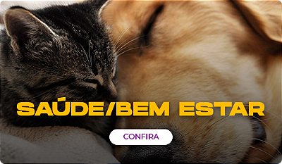 mini saude